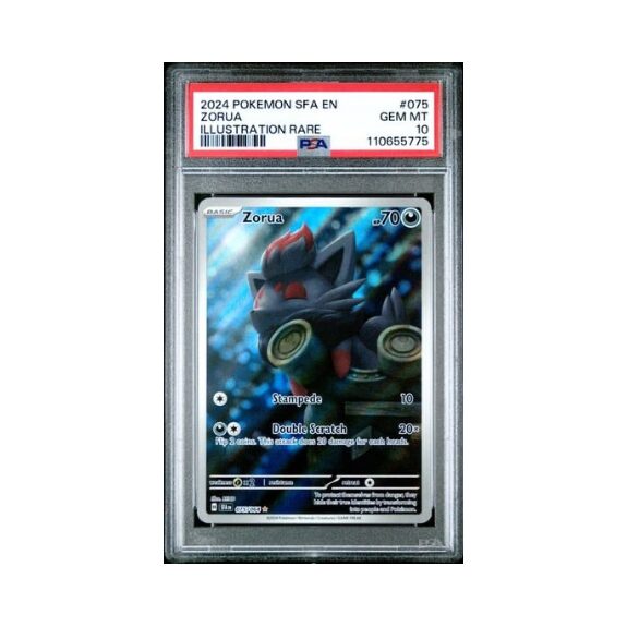 2024 Pokémon Shrouded Fable #075 – Zorua – Illustration Rare – PSA 10