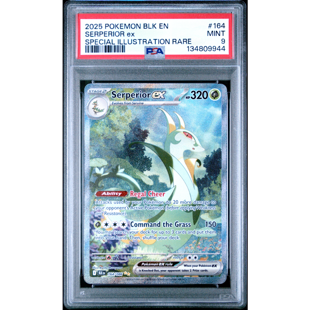 SERPERIOR ex #164 SPECIAL ILLUSTRATION RARE PSA 9 - Front
