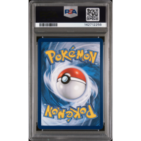 MEGA CHARIZARD X ex #125 SPECIAL ILLUSTRATION RARE PSA 10 - Back