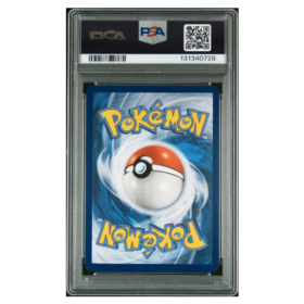 ZORUA #142 ILLUSTRATION RARE PSA 10 - Back