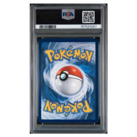 MEGA CHARIZARD X ex #125 SPECIAL ILLUSTRATION RARE PSA 10 - Back