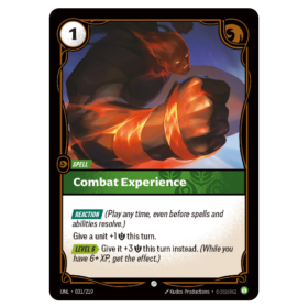 Combat Experience [Unleashed]