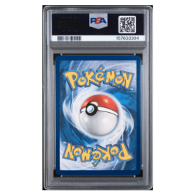 DEDENNE #093 ILLUSTRATION RARE PSA 10 - Back