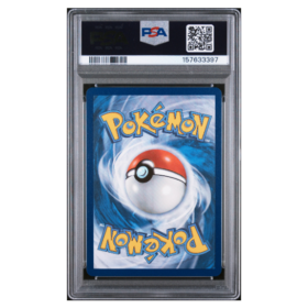 MEGA ZYGARDE ex #120 SPECIAL ILLUSTRATION RARE PSA 10 - Back