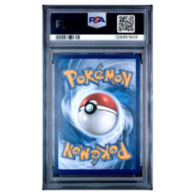 ETHAN'S HO-OH ex #239 HYPER RARE PSA 10 - Back