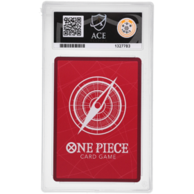 Buggy #OP16-041 Parallel ACE 10 - Back