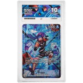 Buggy #OP16-041 Parallel ACE 10 - Front
