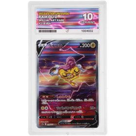 Raikou V #218/172 Special Art Rare ACE 9 - Front