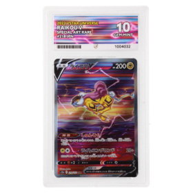 Raikou V #218/172 Special Art Rare ACE 9 - Front