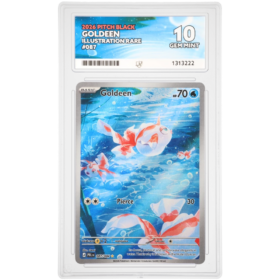 Goldeen #087/084 Illustration Rare ACE 10 - Front