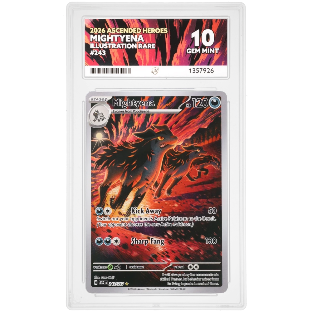 Mightyena #243/217 Illustration Rare ACE 10 - Front