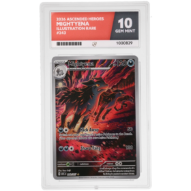 Mightyena #243/217 Illustration Rare ACE 10 - Front