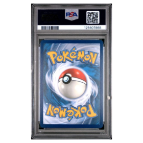 ZORUA #075 ILLUSTRATION RARE PSA 10 - Back