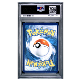 FLYGON #101 ILLUSTRATION RARE PSA 10 - Back