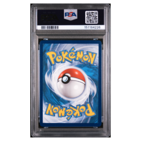MLTRS/ZPDS/ARTCN.GX #69 HIDDEN FATES-FA-SECRET PSA 10 - Back