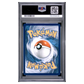 CHIMCHAR #041 FIRST PARTNER ILLUS COLL SER 1 PSA 10 - Back
