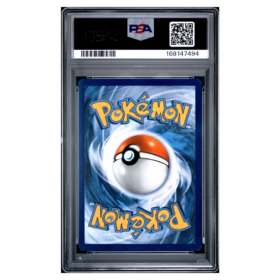 FA/BRIGETTE #161 BREAKTHROUGH PSA 9 - Back
