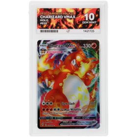 Charizard VMAX #020/189 Holo ACE 10 - Front
