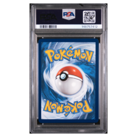 FA/RAYQUAZA VMAX #111 EVOLVING SKIES PSA 10 - Back