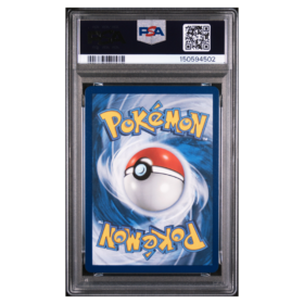 FLYGON #101 ILLUSTRATION RARE PSA 10 - Back