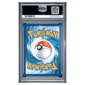 MEGA GRENINJA ex #116 SPECIAL ILLUSTRATION RARE PSA 10 - Back