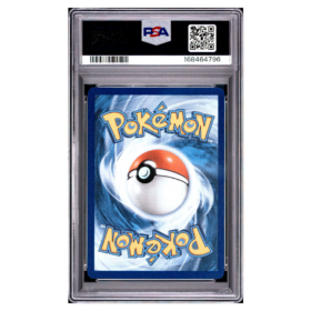 CHESPIN #087 ILLUSTRATION RARE PSA 10 - Back