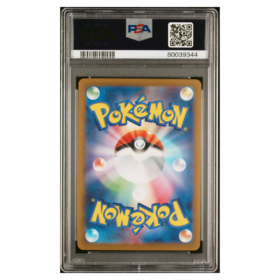 FA/HSN.ZOROARK VSTAR #234 VSTAR UNIVERSE PSA 10 - Back