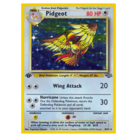 Pidgeot #8 Jungle Holo (PL)